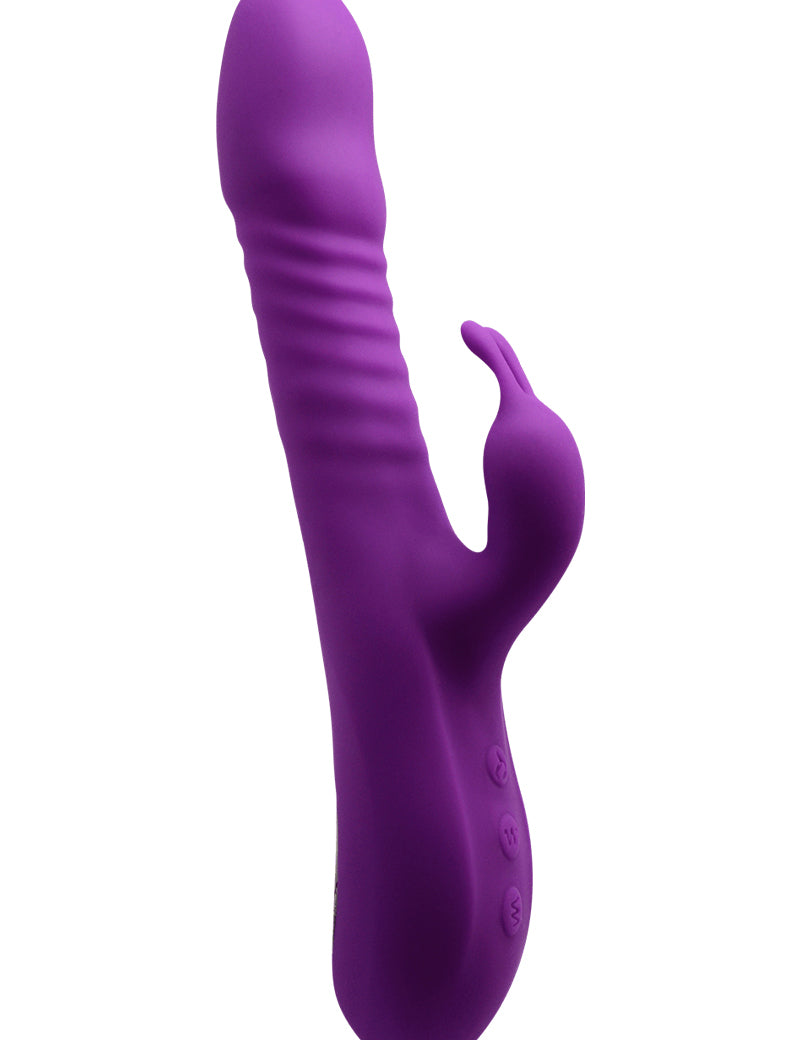 17529_800_vibro_rabbit_va_et_vient_romax-alive.jpg
