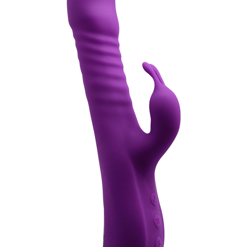 17529_800_vibro_rabbit_va_et_vient_romax-alive.jpg
